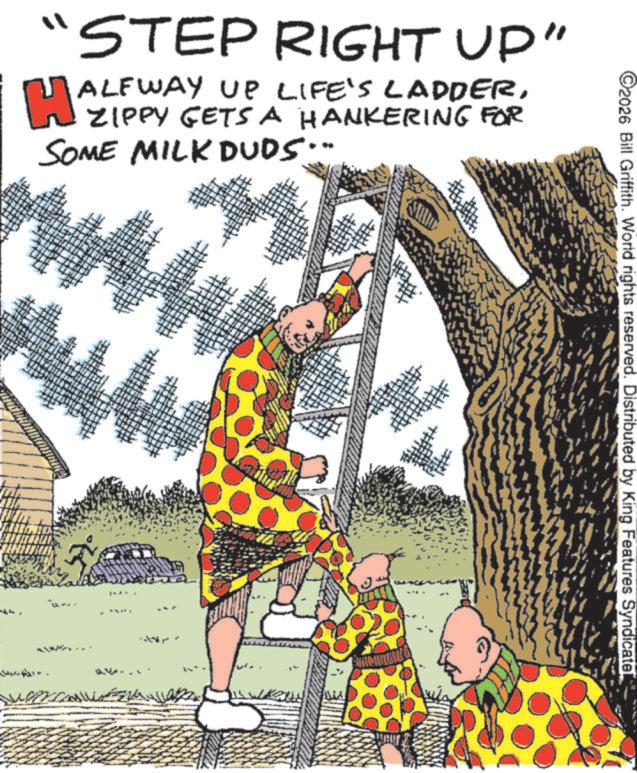Publication OCR: C2026 Bill Griffith. World rights reserved. Distributed by King Features Syndicate! "STEP RIGHT UP" H ALFWAY UP LIFE'S LADDERZIPPY GETS A HANKERING FOR SOME MILK DUDS... C2026 Bill Griffith . World rights reserved . Distributed by King Features Syndicate ! " STEP RIGHT UP " H ALFWAY UP LIFE'S LADDERZIPPY GETS A HANKERING FOR SOME MILK DUDS ...