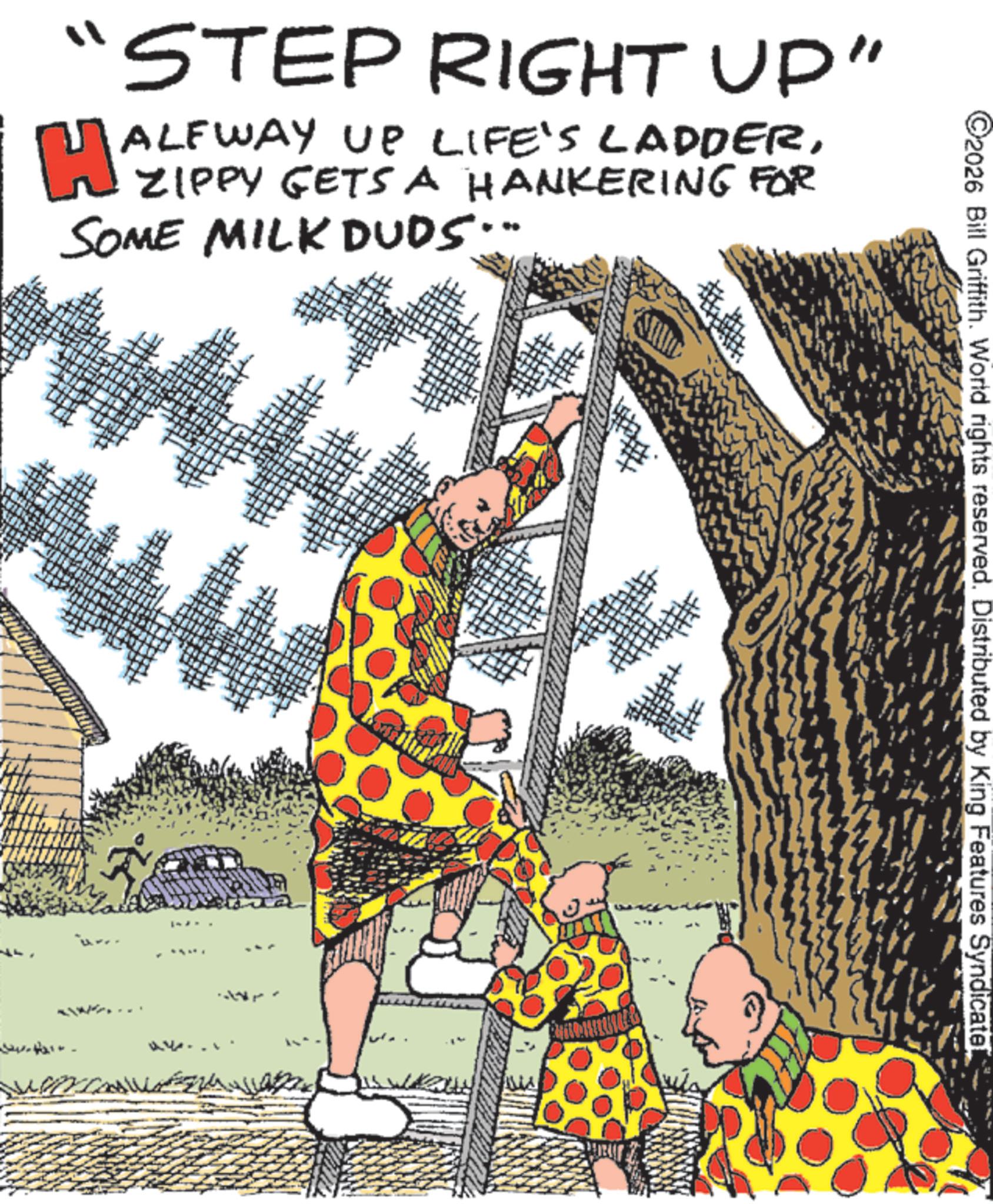 Publication OCR: C2026 Bill Griffith. World rights reserved. Distributed by King Features Syndicate! "STEP RIGHT UP" H ALFWAY UP LIFE'S LADDERZIPPY GETS A HANKERING FOR SOME MILK DUDS... C2026 Bill Griffith . World rights reserved . Distributed by King Features Syndicate ! " STEP RIGHT UP " H ALFWAY UP LIFE'S LADDERZIPPY GETS A HANKERING FOR SOME MILK DUDS ...