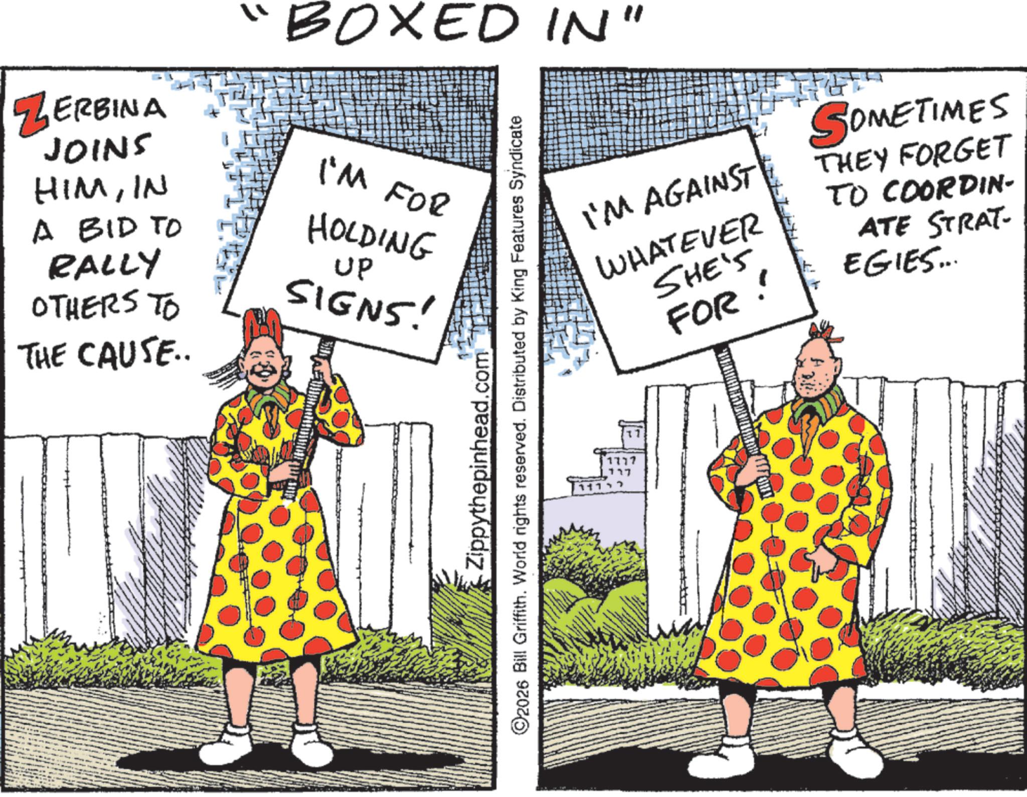 Animation OCR: "BOXED IN" ZERBINA JOINS HIMIN A BID TO RALLY OTHERS TO THE CAUSE.. I'M FOR HOLDING UP SIGNS! Zippythepinhead.com O2026 Bill Griffith. World rights reserved. Distributed by King Features Syndicate 1117 117 I'M AGAINST WHATEVER SHE'S FOR! SOMETIMES THEY FORGET TO COORDIN- ATE STRAT EGIES... " BOXED IN " ZERBINA JOINS HIMIN A BID TO RALLY OTHERS TO THE CAUSE .. I'M FOR HOLDING UP SIGNS ! Zippythepinhead.com O2026 Bill Griffith . World rights reserved . Distributed by King Features Syndicate 1117 117 I'M AGAINST WHATEVER SHE'S FOR ! SOMETIMES THEY FORGET TO COORDIN- ATE STRAT EGIES ...