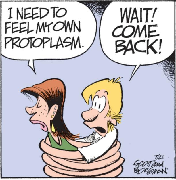 Animation OCR: I NEED TO FEEL MY OWN PROTOPLASM. WAIT! COME BACK! 0 7/21 SCOTT and BORGMAN I NEED TO FEEL MY OWN PROTOPLASM . WAIT ! COME BACK ! 0 7/21 SCOTT and BORGMAN