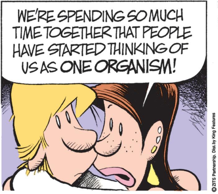 Animated cartoon OCR: WE'RE SPENDING SO MUCH TIME TOGETHER THAT PEOPLE HAVE STARTED THINKING OF USAS ONE ORGANISM! 0 OZITS Partnership. Dist. by King Features WE'RE SPENDING SO MUCH TIME TOGETHER THAT PEOPLE HAVE STARTED THINKING OF USAS ONE ORGANISM ! 0 OZITS Partnership . Dist . by King Features