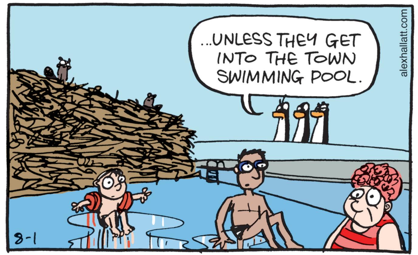 Swimming OCR: 8-1 ...UNLESS THEY GET INTO THE TOWN SWIMMING POOL. alexhallatt.com 8-1 ... UNLESS THEY GET INTO THE TOWN SWIMMING POOL . alexhallatt.com