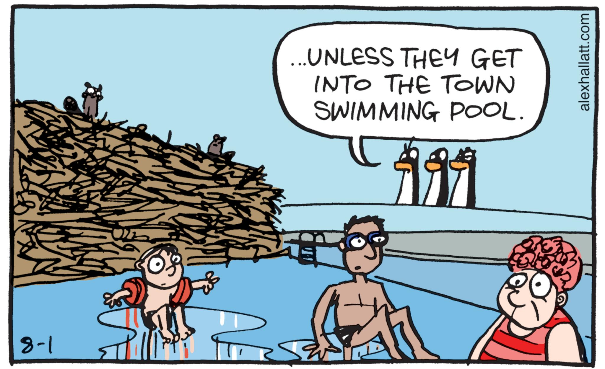Swimming OCR: 8-1 ...UNLESS THEY GET INTO THE TOWN SWIMMING POOL. alexhallatt.com 8-1 ... UNLESS THEY GET INTO THE TOWN SWIMMING POOL . alexhallatt.com