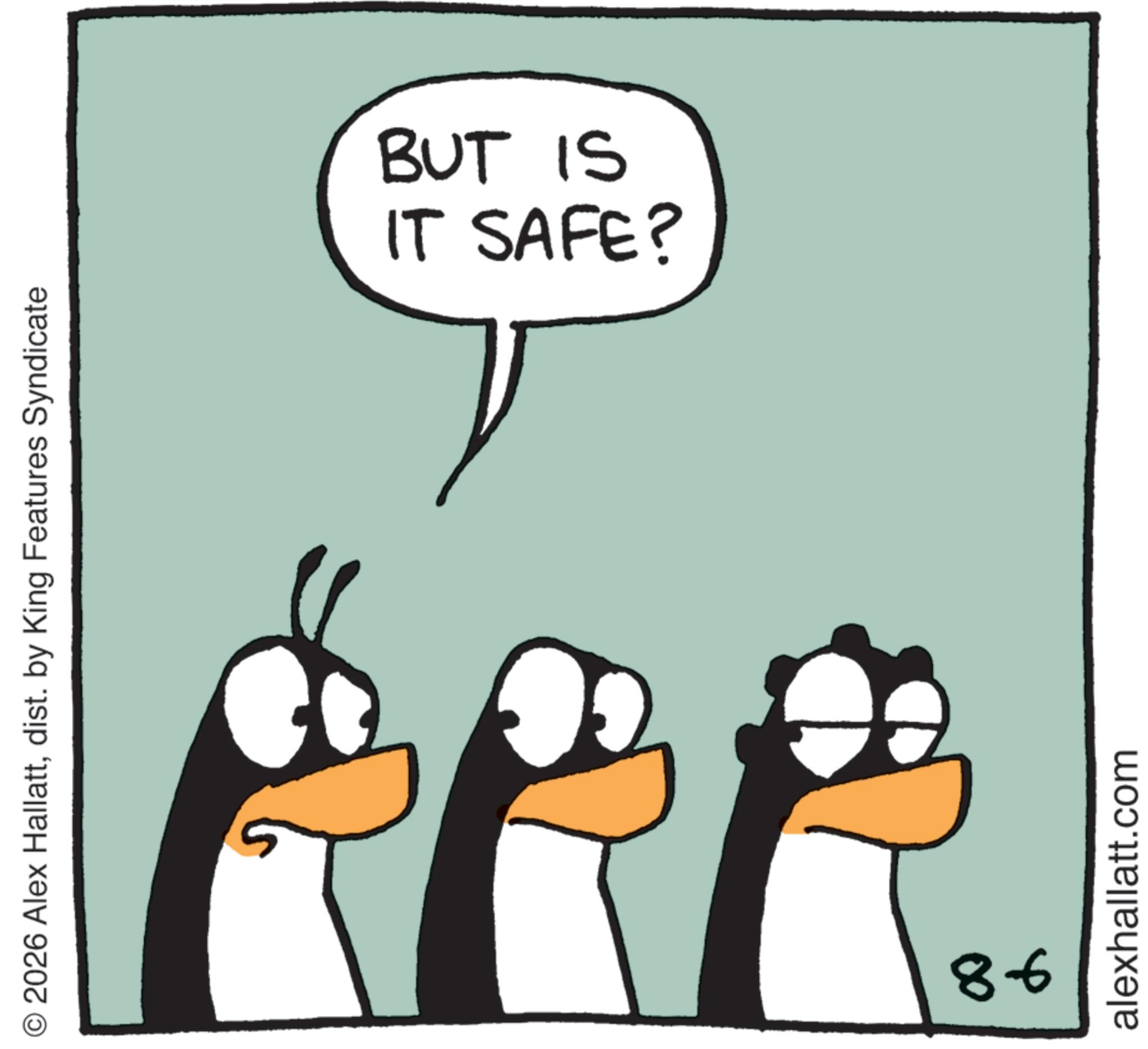 Photo caption OCR: © 2026 Alex Hallattdist. by King Features Syndicate 86 IT SAFE? BUT IS alexhallatt.com © 2026 Alex Hallattdist . by King Features Syndicate 86 IT SAFE ? BUT IS alexhallatt.com