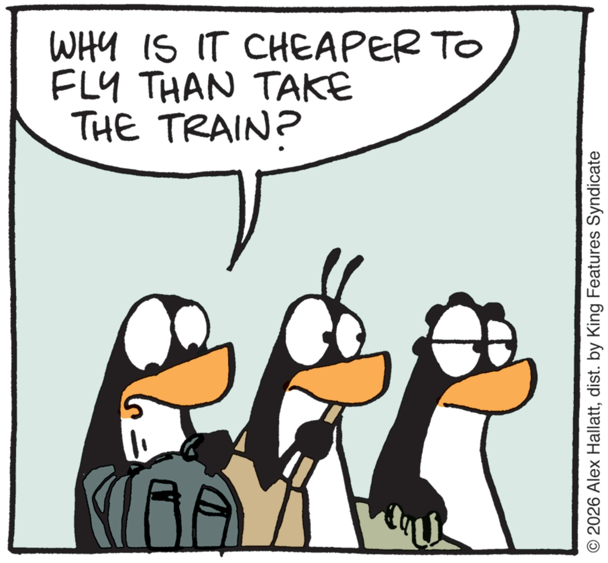 Photo caption OCR: WHY IS IT CHEAPER TO FLY THAN TAKE THE TRAIN? CBAY 2026 Alex Hallattdist. by King Features Syndicate WHY IS IT CHEAPER TO FLY THAN TAKE THE TRAIN ? CBAY 2026 Alex Hallattdist . by King Features Syndicate