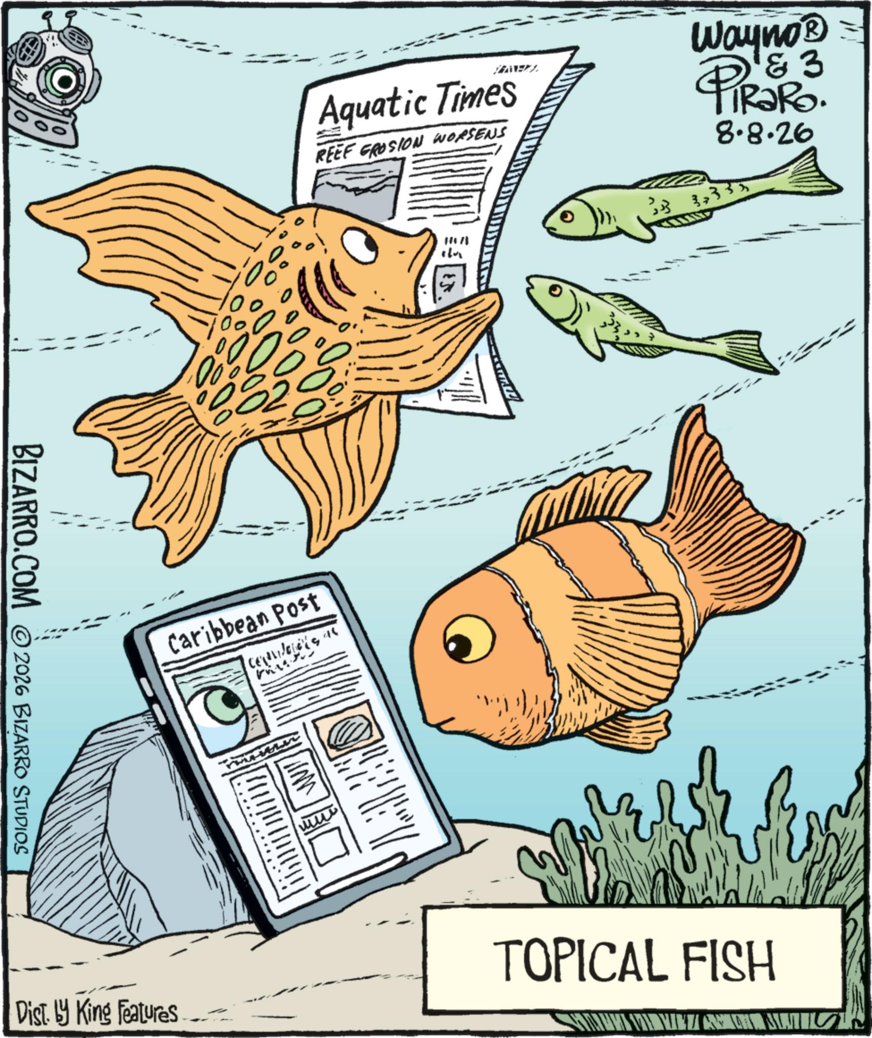 Bony fishes OCR: BIZARRO.COM 2026 BIZARRO STUDIOS 0 100100 0 802 Aquatic Times REEF GROSION WORSENS Wayno? & 3 PIRARO. 8.8.26 33333 Caribbean Post Contrager at Dist. by King Features wwwww TOPICAL FISH BIZARRO.COM 2026 BIZARRO STUDIOS 0 100100 0 802 Aquatic Times REEF GROSION WORSENS Wayno? & 3 PIRARO . 8.8.26 33333 Caribbean Post Contrager at Dist . by King Features wwwww TOPICAL FISH