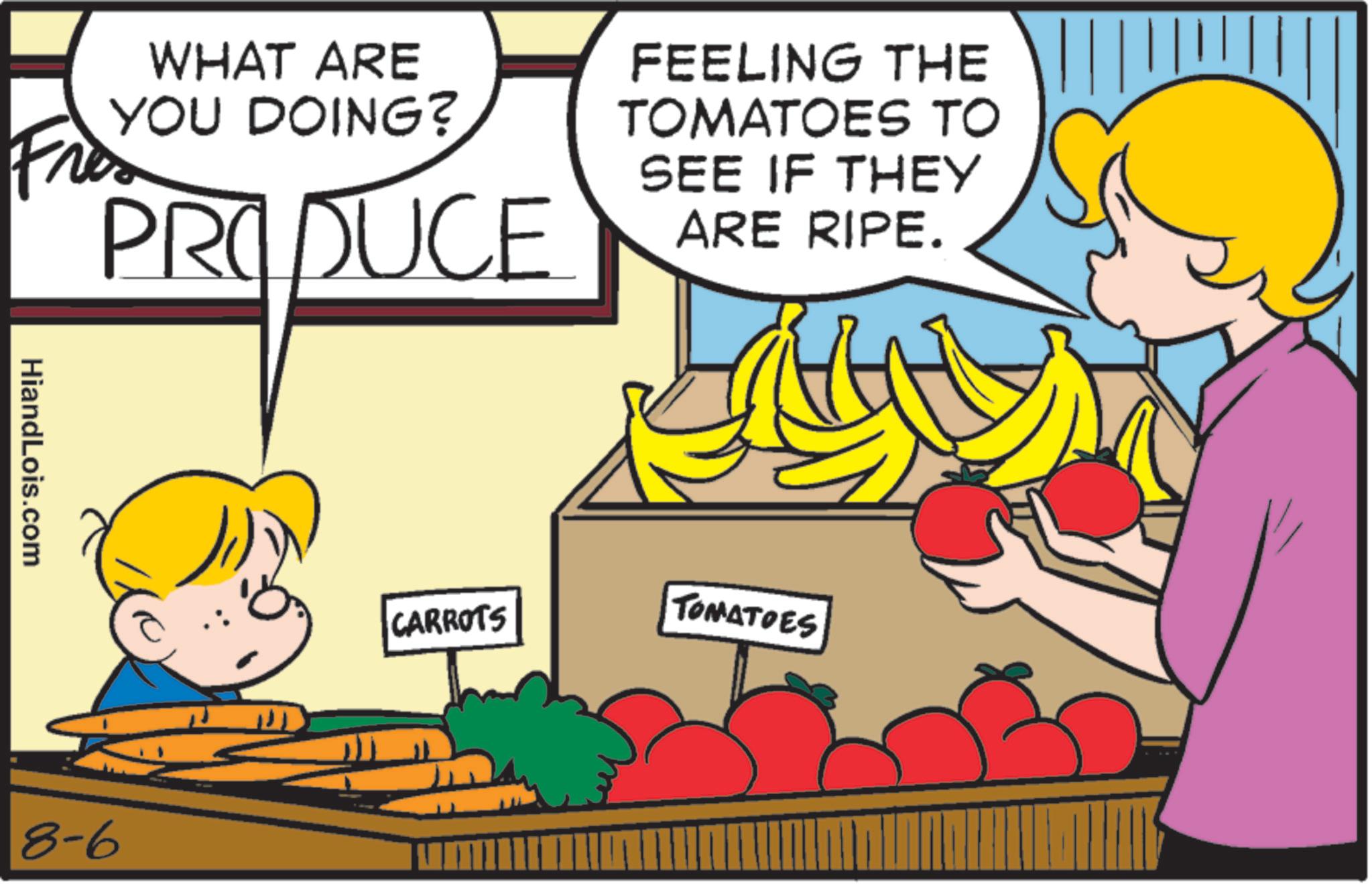 Clip art OCR: Fro WHAT ARE YOU DOING? PRODUCE FEELING THE TOMATOES TO SEE IF THEY ARE RIPE. HiandLois.com 8-6 CARROTS TOMATOES Fro WHAT ARE YOU DOING ? PRODUCE FEELING THE TOMATOES TO SEE IF THEY ARE RIPE . HiandLois.com 8-6 CARROTS TOMATOES