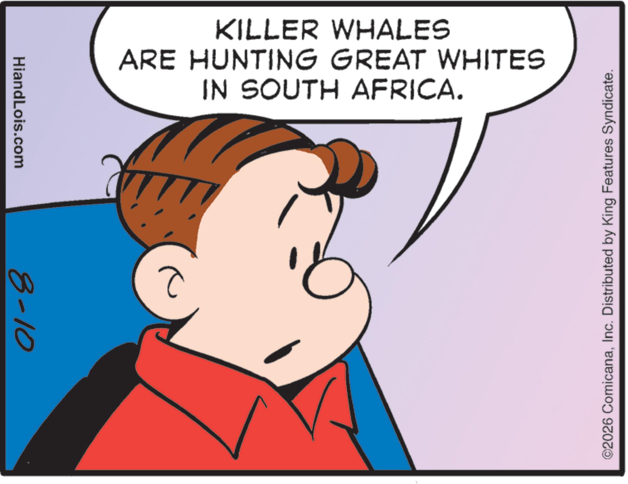 Pleased OCR: HiandLois.com 8-10 2 KILLER WHALES ARE HUNTING GREAT WHITES IN SOUTH AFRICA. ©2026 ComicanaInc. Distributed by King Features Syndicate. HiandLois.com 8-10 2 KILLER WHALES ARE HUNTING GREAT WHITES IN SOUTH AFRICA . © 2026 ComicanaInc. Distributed by King Features Syndicate .