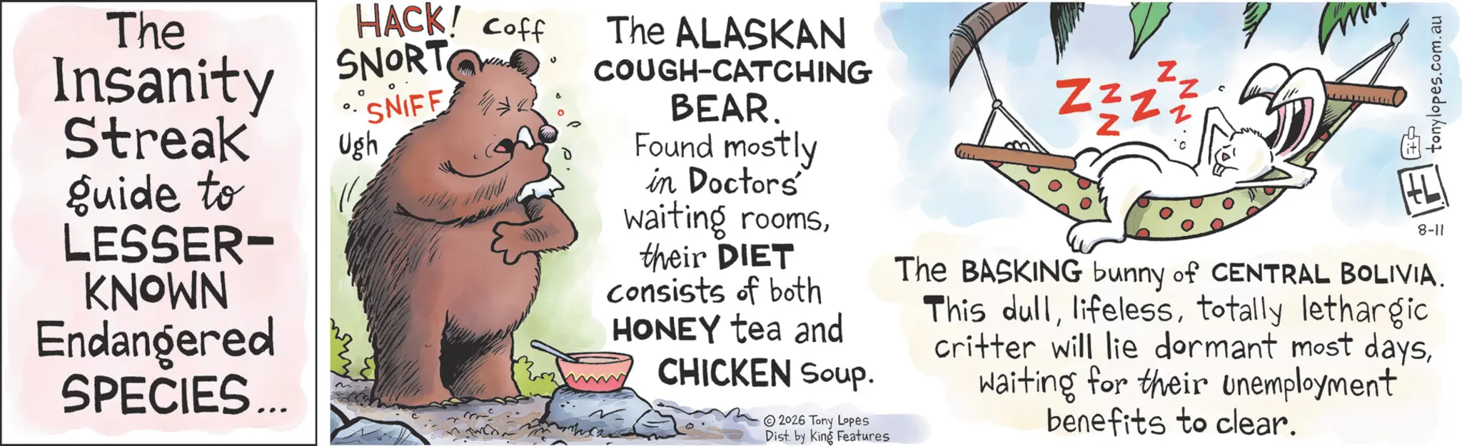Photo caption OCR: The Insanity Streak guide to LESSER- KNOWN Endangered 0. Ugh SPECIES... HACK! Coff SNORT The ALASKAN •SNIFF ZZZZ Z COUGH-CATCHING BEAR. Found mostly in Doctors' waiting roomstheir DIET consists of both HONEY tea and CHICKEN Soup. 2026 Tony Lopes Dist. by King Features tonylopes.com.au 8-11 The BASKING bunny of CENTRAL BOLIVIA. This dulltotally lethargic critter will lie dormant most dayswaiting for their unemployment benefits to clear. The Insanity Streak guide to LESSER- KNOWN Endangered 0 . Ugh SPECIES ... HACK ! Coff SNORT The ALASKAN • SNIFF ZZZZ Z COUGH - CATCHING BEAR . Found mostly in Doctors ' waiting roomstheir DIET consists of both HONEY tea and CHICKEN Soup . 2026 Tony Lopes Dist . by King Features tonylopes.com.au 8-11 The BASKING bunny of CENTRAL BOLIVIA . This dulltotally lethargic critter will lie dormant most dayswaiting for their unemployment benefits to clear .
