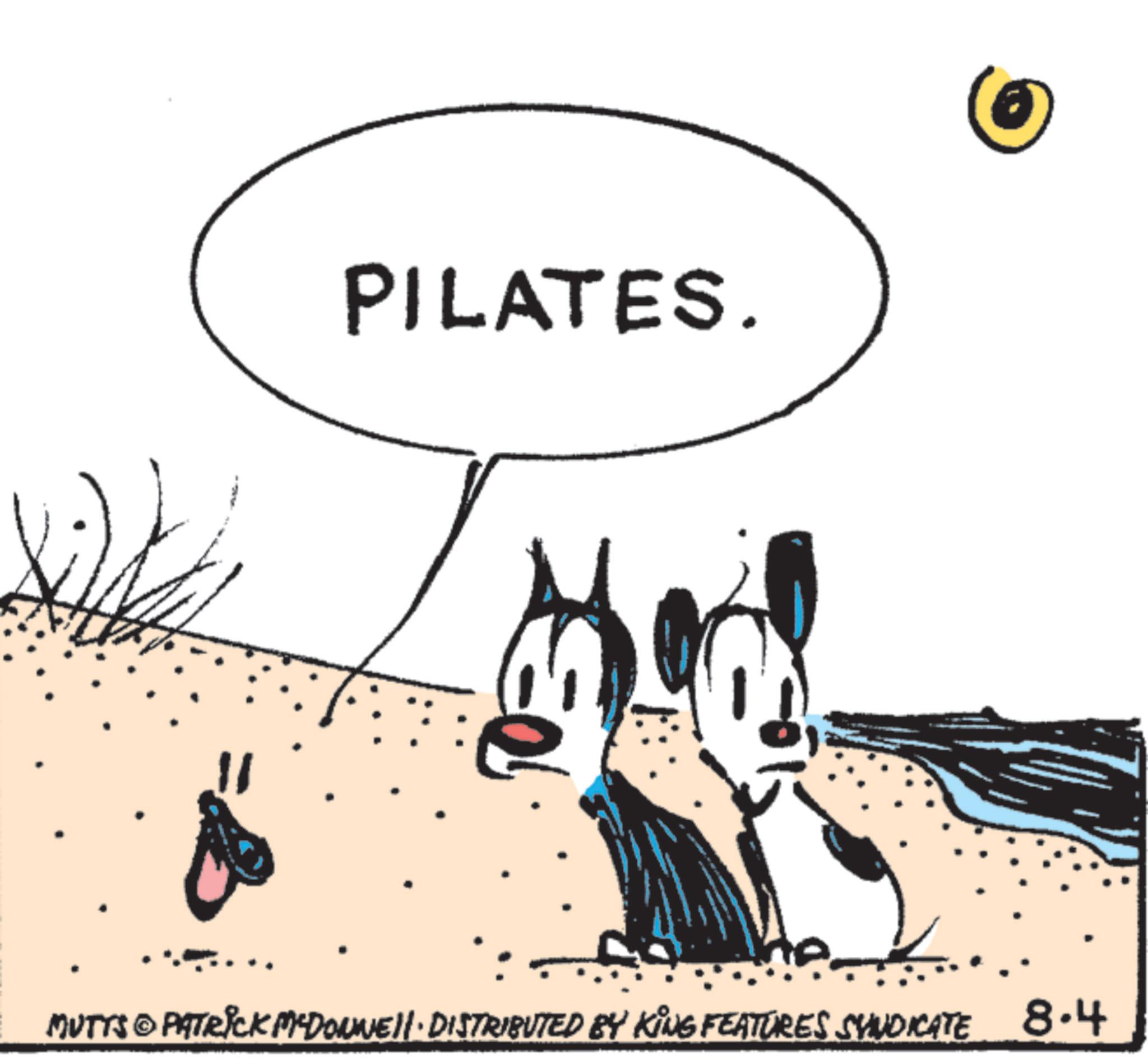 Foot OCR: PILATES. MUTTS © PATRICK MCDONNELL DISTRIBUTED BY KING FEATURES SYNDICATE 8.4 PILATES . MUTTS © PATRICK MCDONNELL DISTRIBUTED BY KING FEATURES SYNDICATE 8.4