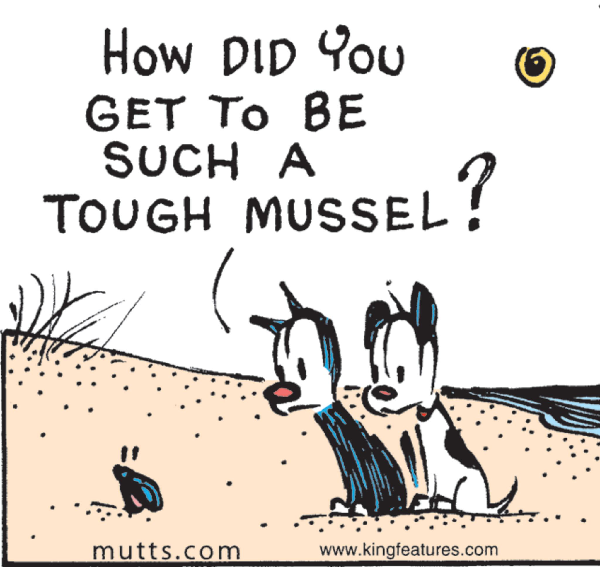 Graphics OCR: How DID YOU GET TO BE SUCH A TOUGH MUSSEL? mutts.com www.kingfeatures.com How DID YOU GET TO BE SUCH A TOUGH MUSSEL ? mutts.com www.kingfeatures.com