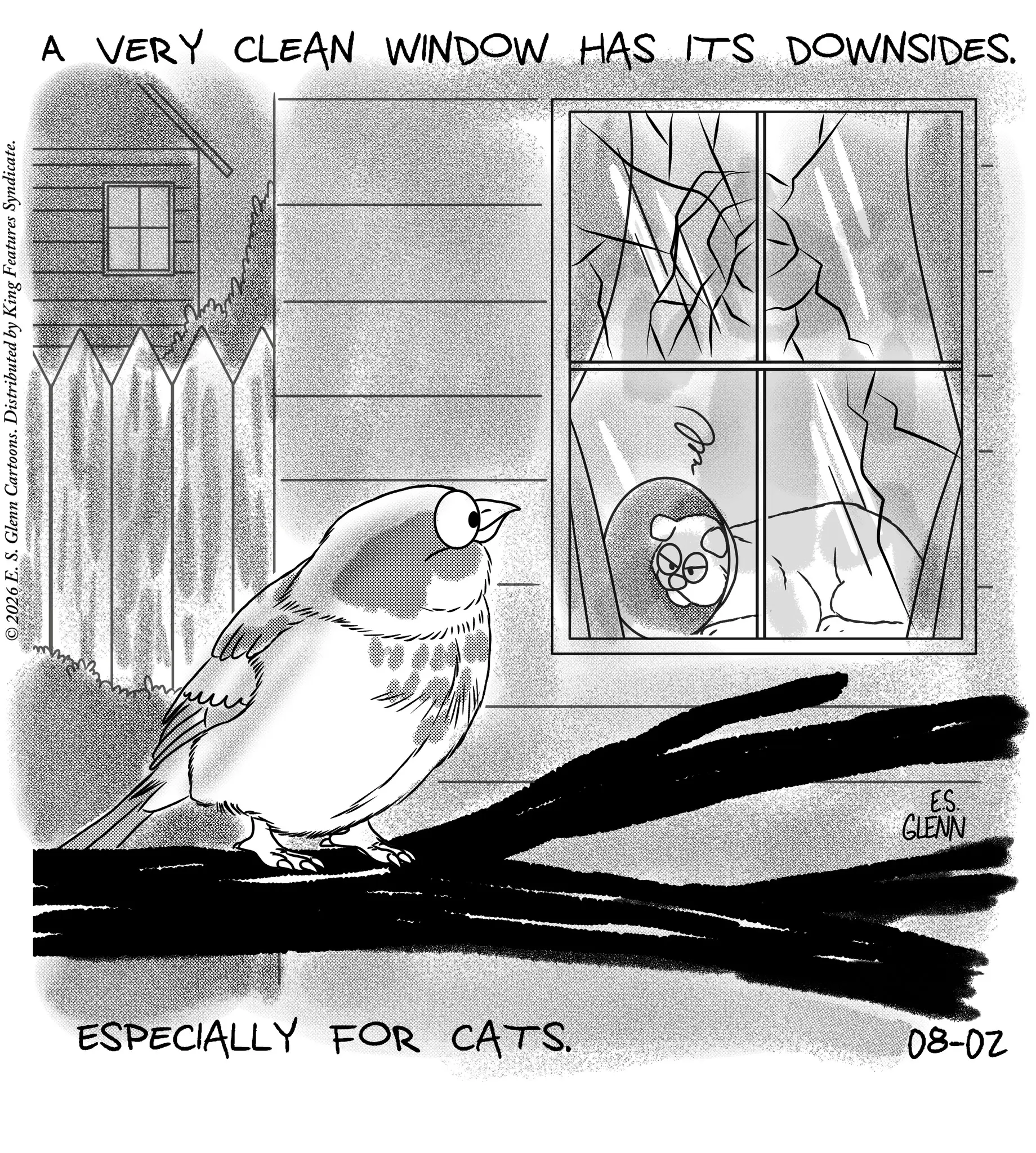 Passerine OCR: © 2026 E. S. Glenn Cartoons. Distributed by King Features Syndicate. A VERY CLEAN WINDOW HAS ITS DOWNSIDES. ESPECIALLY FOR CATS. M ES. GLENN 20-80 © 2026 E. S. Glenn Cartoons . Distributed by King Features Syndicate . A VERY CLEAN WINDOW HAS ITS DOWNSIDES . ESPECIALLY FOR CATS . M ES . GLENN 20-80