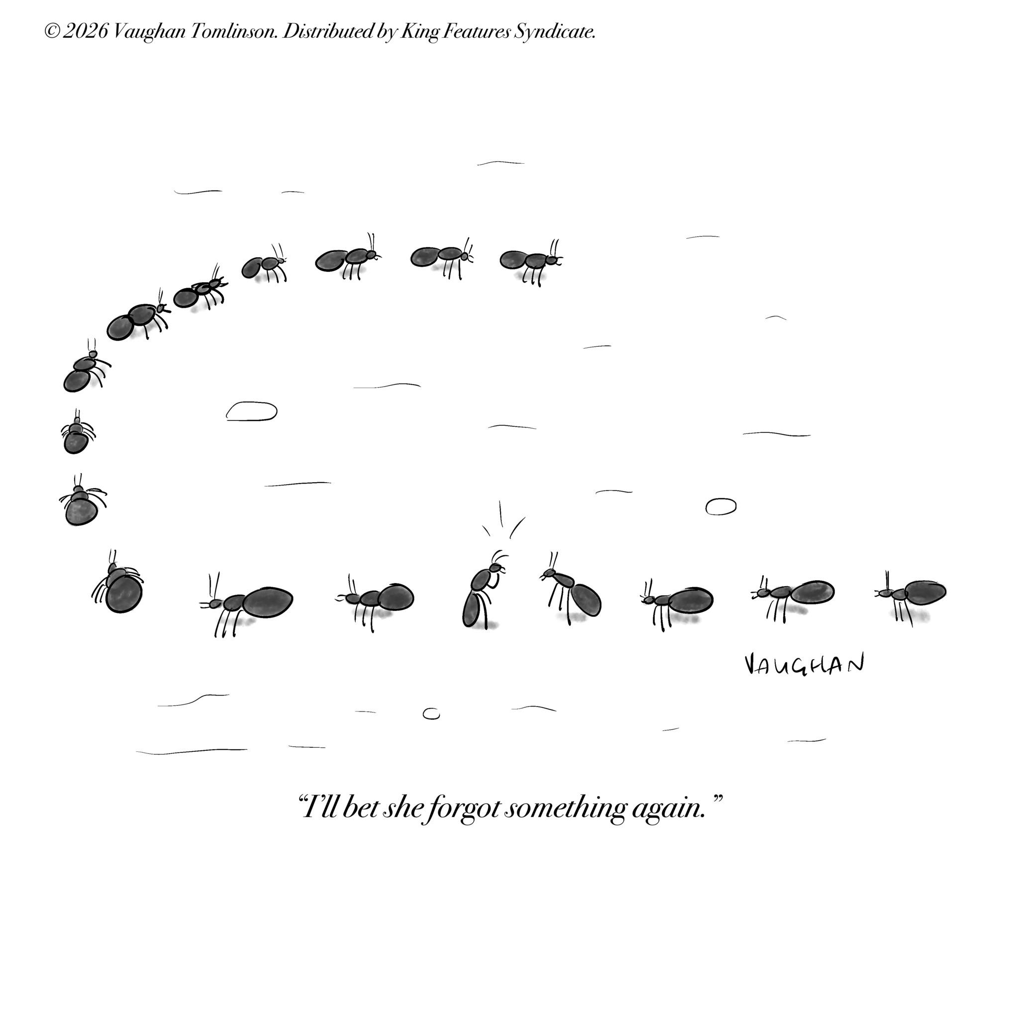 Parasitism OCR: ©2026 Vaughan Tomlinson. Distributed by King Features Syndicate. 0 VAUGHAN "I'll bet she forgot something again." © 2026 Vaughan Tomlinson . Distributed by King Features Syndicate . 0 VAUGHAN " I'll bet she forgot something again . "