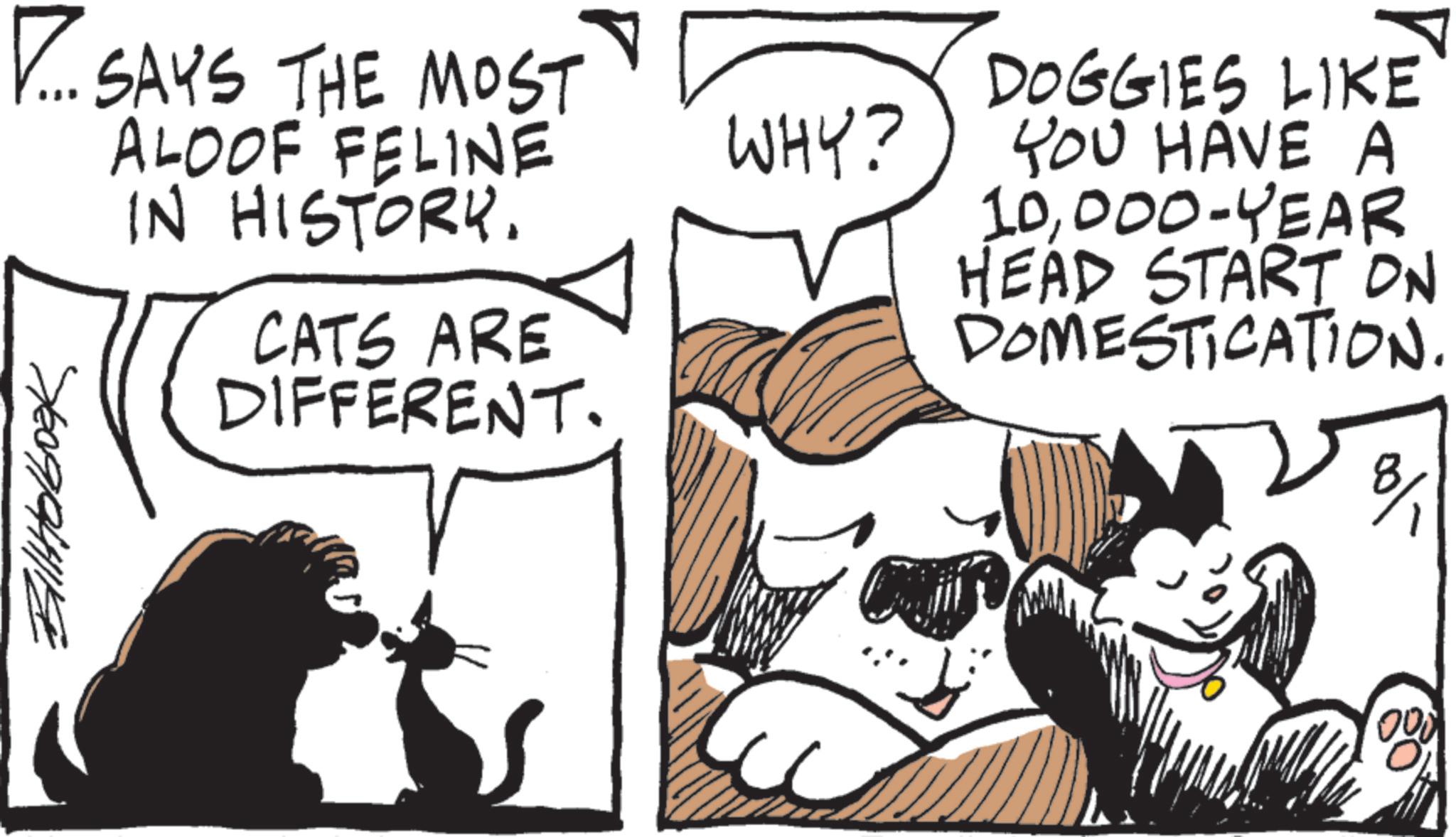 Tail OCR: ... SAYS THE MOST ALOOF FELINE IN HISTORY. Billholbook CATS ARE DIFFERENT. WHY? ? DOGGIES LIKE YOU HAVE A 10000-YEAR HEAD START ON DOMESTICATION. 8/1 ... SAYS THE MOST ALOOF FELINE IN HISTORY . Billholbook CATS ARE DIFFERENT . WHY ? ? DOGGIES LIKE YOU HAVE A 10000 - YEAR HEAD START ON DOMESTICATION . 8/1
