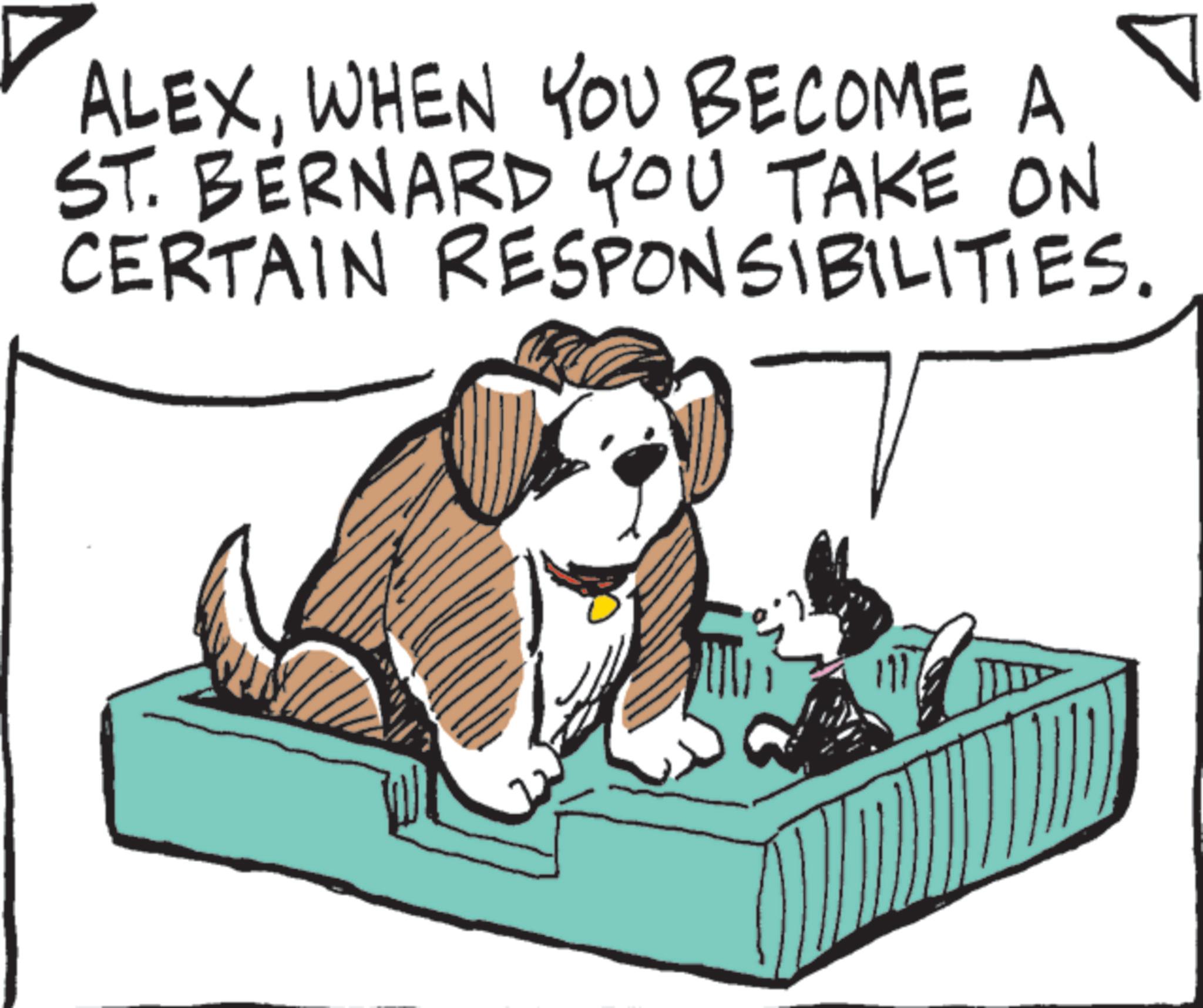 Puppy OCR: ALEXWHEN YOU BECOME A ST. BERNARD YOU TAKE ON CERTAIN RESPONSIBILITIES. ALEXWHEN YOU BECOME A ST . BERNARD YOU TAKE ON CERTAIN RESPONSIBILITIES .