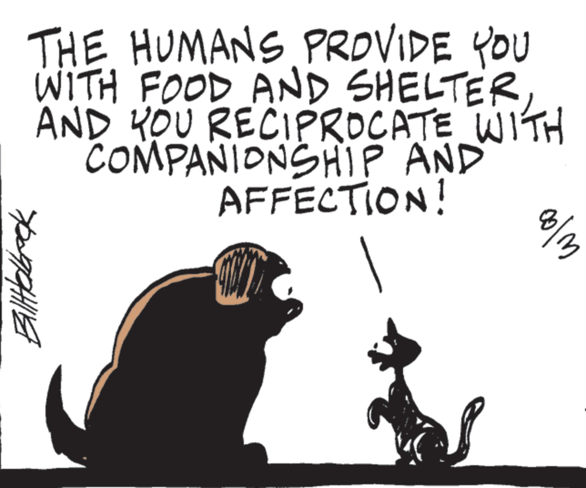 Tail OCR: ??? 8/13 THE HUMANS PROVIDE YOU WITH FOOD AND SHELTERAND YOU RECIPROCATE WITH COMPANIONSHIP AND AFFECTION! 70099HIE ??? 8/13 THE HUMANS PROVIDE YOU WITH FOOD AND SHELTERAND YOU RECIPROCATE WITH COMPANIONSHIP AND AFFECTION ! 70099HIE