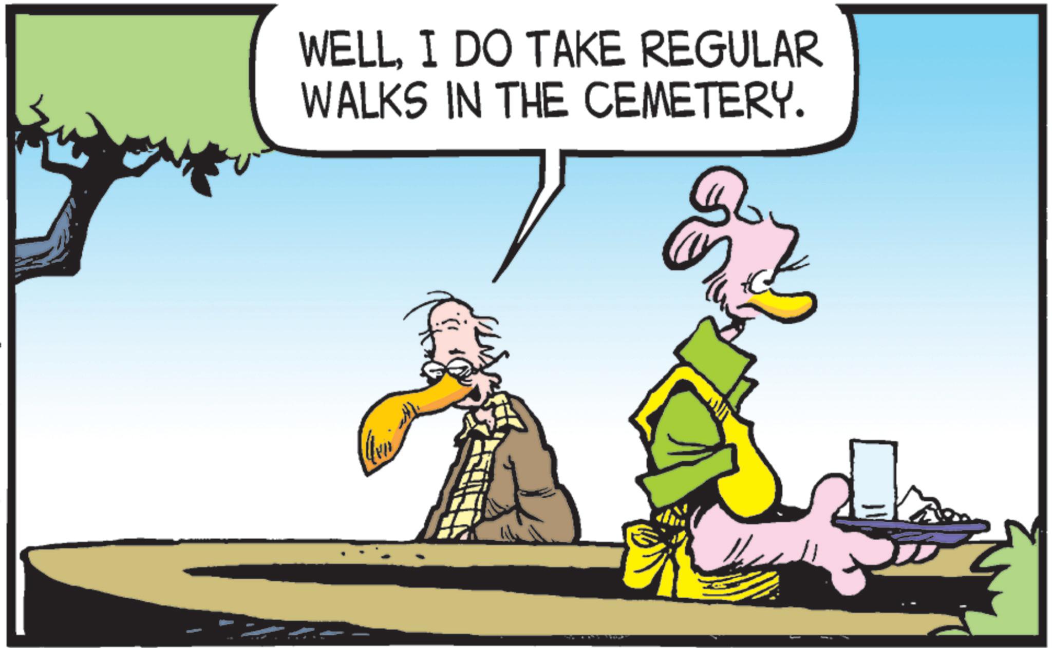 Graphics OCR: WELLI DO TAKE REGULAR WALKS IN THE CEMETERY. WELLI DO TAKE REGULAR WALKS IN THE CEMETERY .