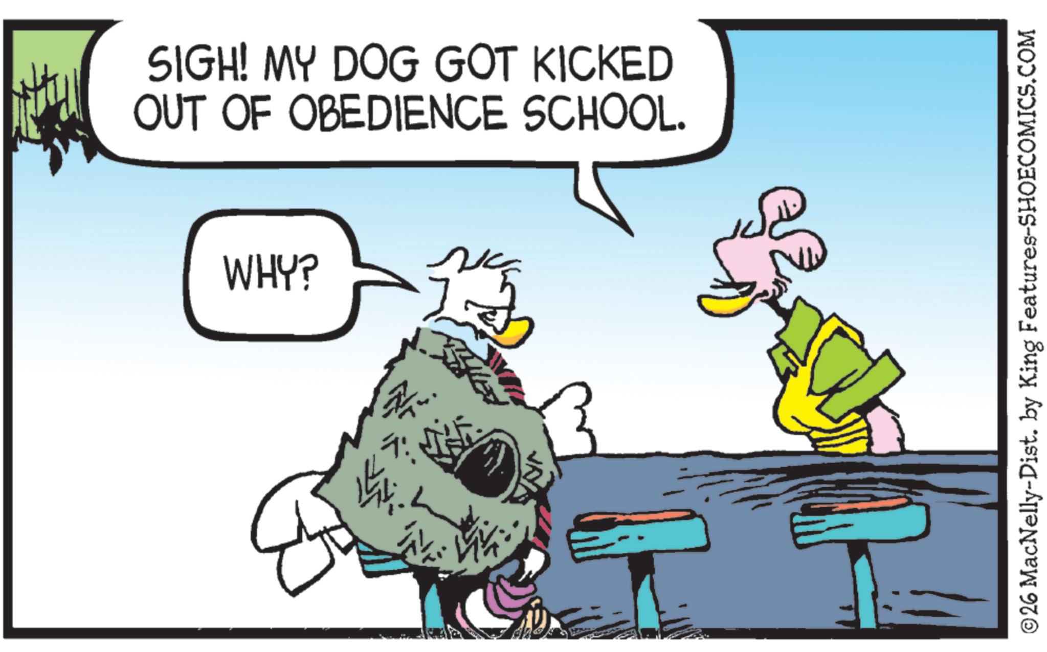 Comics OCR: SIGH! MY DOG GOT KICKED OUT OF OBEDIENCE SCHOOL. WHY? B 144 ©26 MacNelly-Dist. by King Features-SHOECOMICS.COM SIGH ! MY DOG GOT KICKED OUT OF OBEDIENCE SCHOOL . WHY ? B 144 © 26 MacNelly - Dist . by King Features-SHOECOMICS.COM