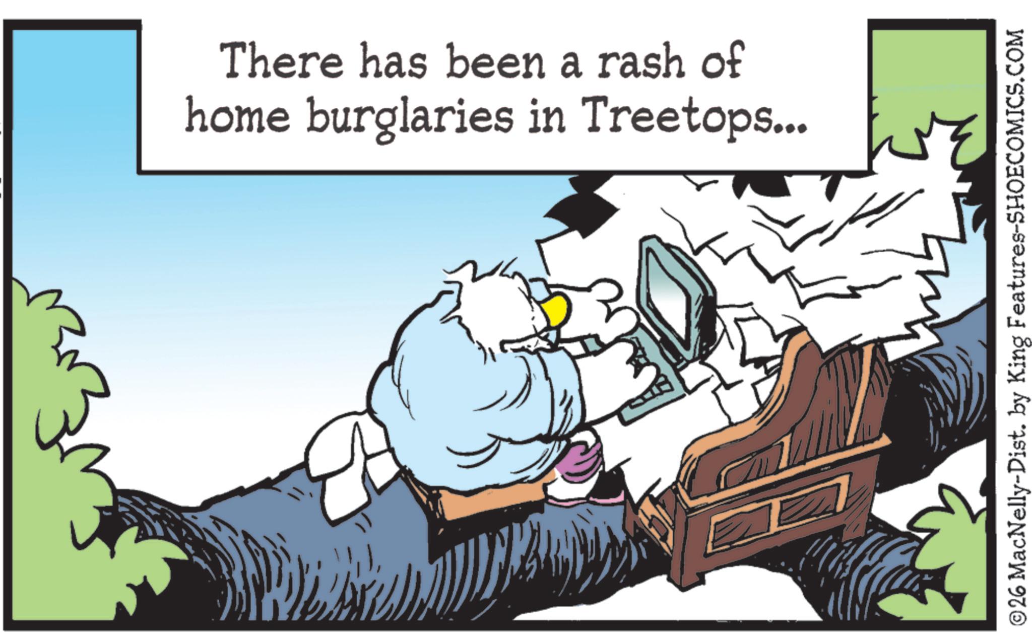 Fictional character OCR: There has been a rash of home burglaries in Treetops... E ©26 MacNelly-Dist. by King Features-SHOECOMICS.COM There has been a rash of home burglaries in Treetops ... E © 26 MacNelly - Dist . by King Features-SHOECOMICS.COM