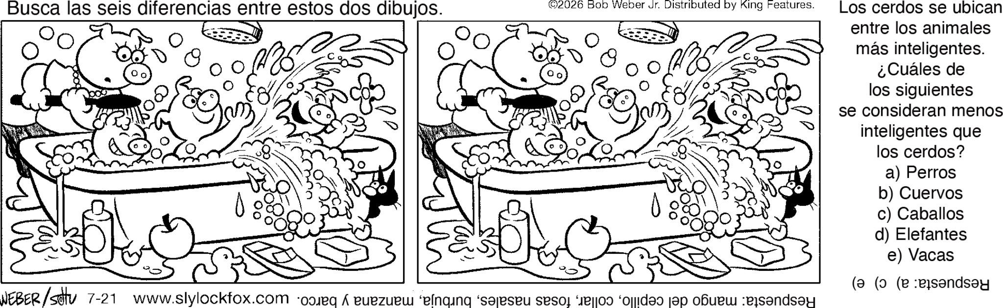 Coloring book OCR: Busca las seis diferencias entre estos dos dibujos. ©2026 Bob Weber Jr. Distributed by King Features. WEBER/settu 7-21 www.slylockfox.com ning see me as folded pan or sandsy Los cerdos se ubican entre los animales más inteligentes. ¿Cuáles de los siguientes se consideran menos inteligentes que los cerdos? a) Perros b) Cuervos c) Caballos d) Elefantes e) Vacas ( ( ( bands?y Busca las seis diferencias entre estos dos dibujos . © 2026 Bob Weber Jr. Distributed by King Features . WEBER / settu 7-21 www.slylockfox.com ning see me as folded pan or sandsy Los cerdos se ubican entre los animales más inteligentes . ¿ Cuáles de los siguientes se consideran menos inteligentes que los cerdos ? a ) Perros b ) Cuervos c ) Caballos d ) Elefantes e ) Vacas ( ( ( bands?y