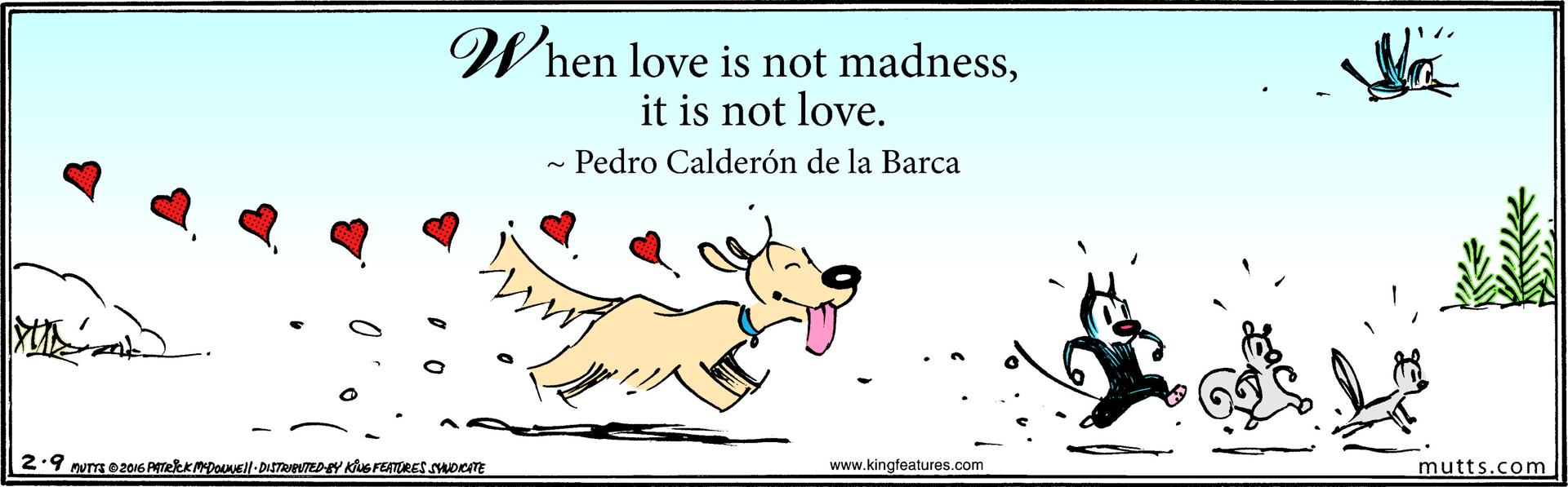 Mutts Comic Strip 2016 02 02 Comics Kingdom