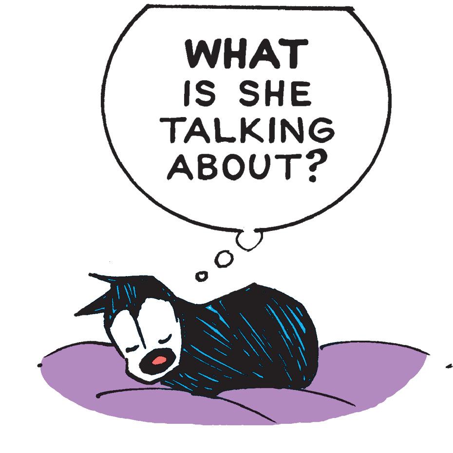 Mutts Comic Strip 2019-11-15 | Comics Kingdom