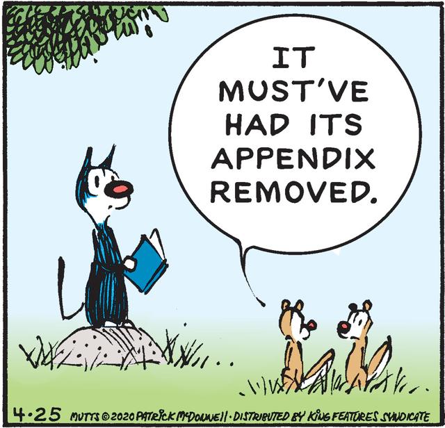 Mutts Comic Strip 2020-04-25 | Comics Kingdom