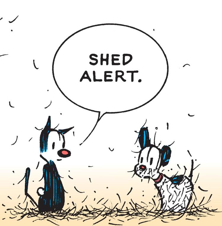 Mutts Comic Strip 2020-05-17 | Comics Kingdom