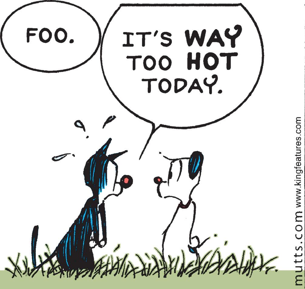 Mutts Comic Strip 2020-07-04 | Comics Kingdom