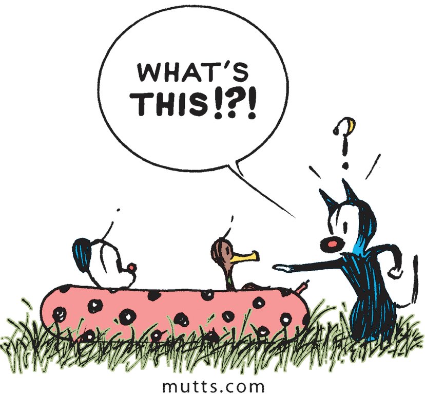 Mutts Comic Strip 2021-06-11 | Comics Kingdom