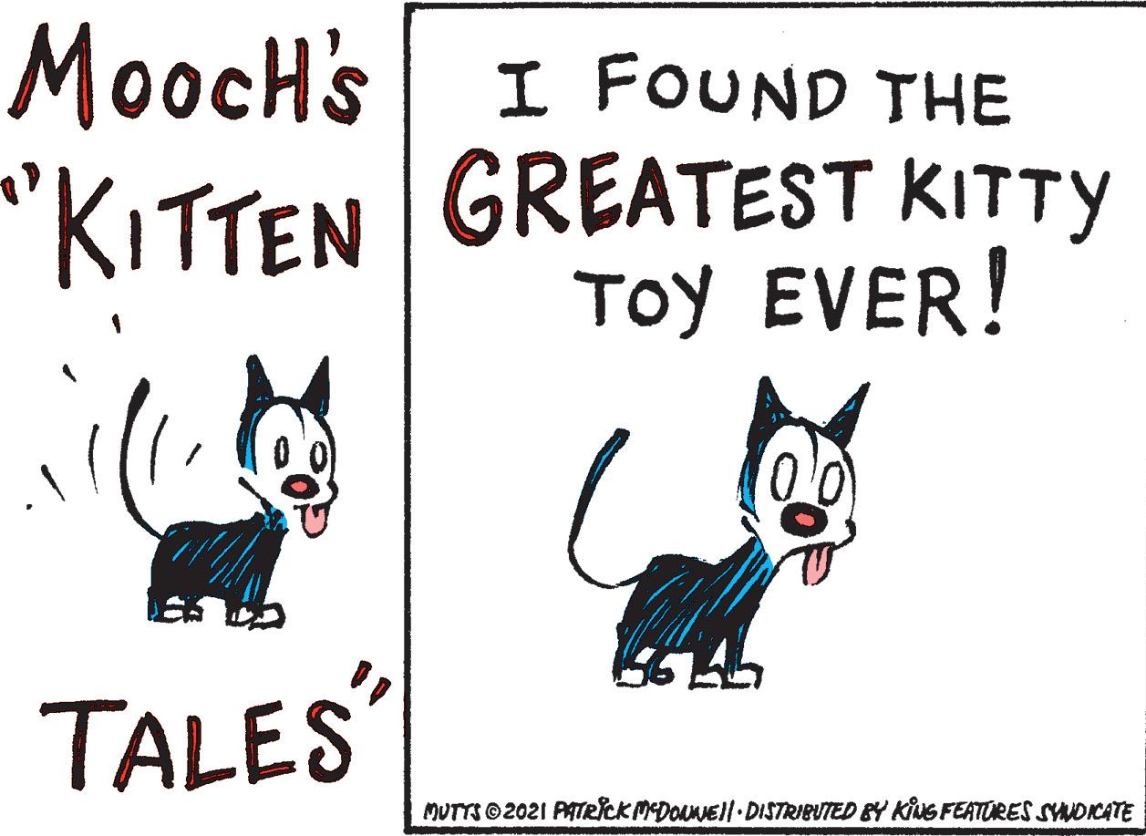 Mutts Comic Strip 2021-06-19 | Comics Kingdom