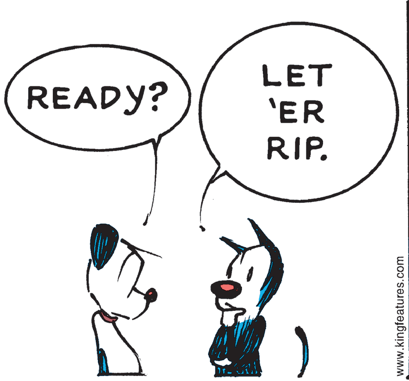 Mutts Comic Strip 2021-11-03 | Comics Kingdom