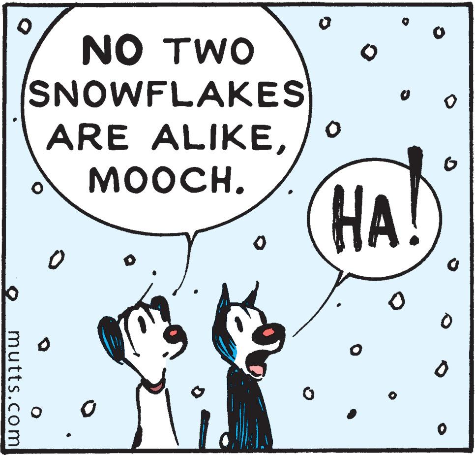 Mutts Comic Strip 2021-12-04 | Comics Kingdom
