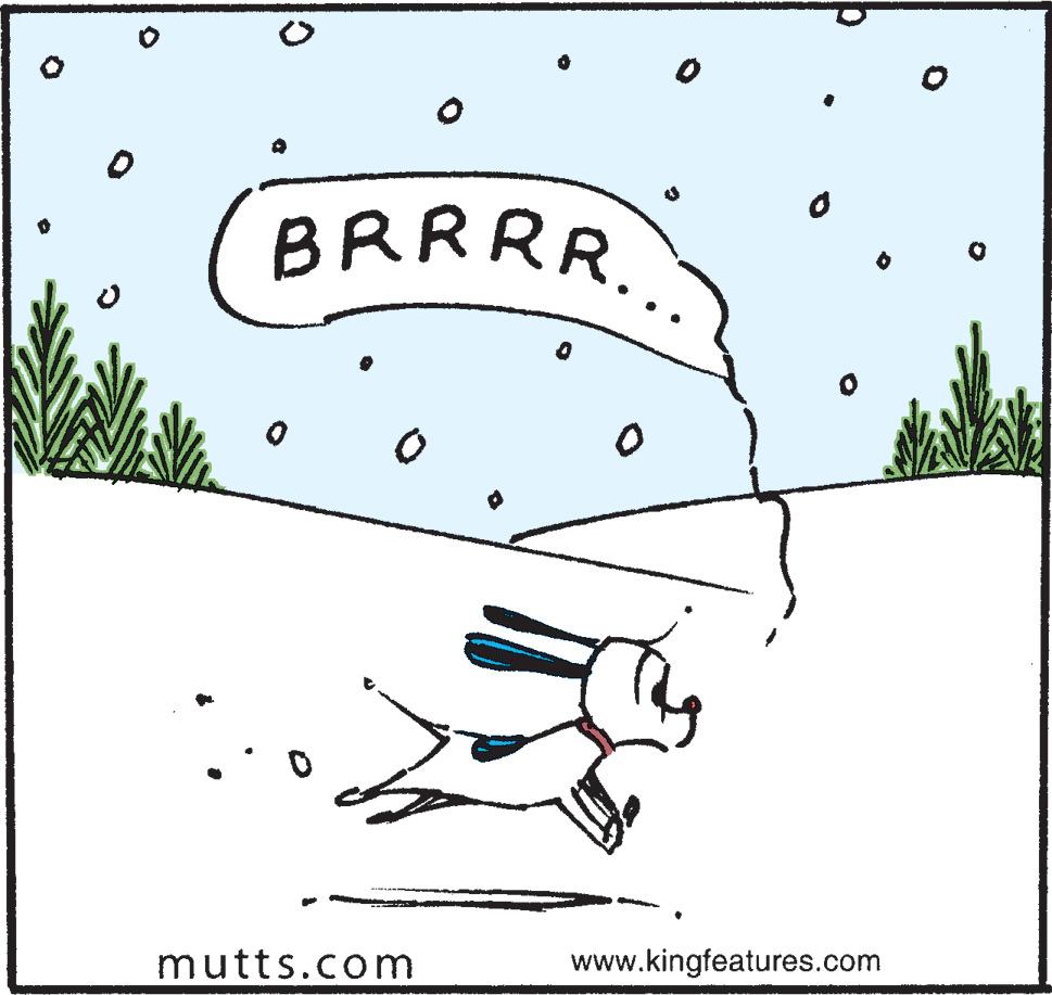 Mutts Comic Strip 2022-01-18 | Comics Kingdom