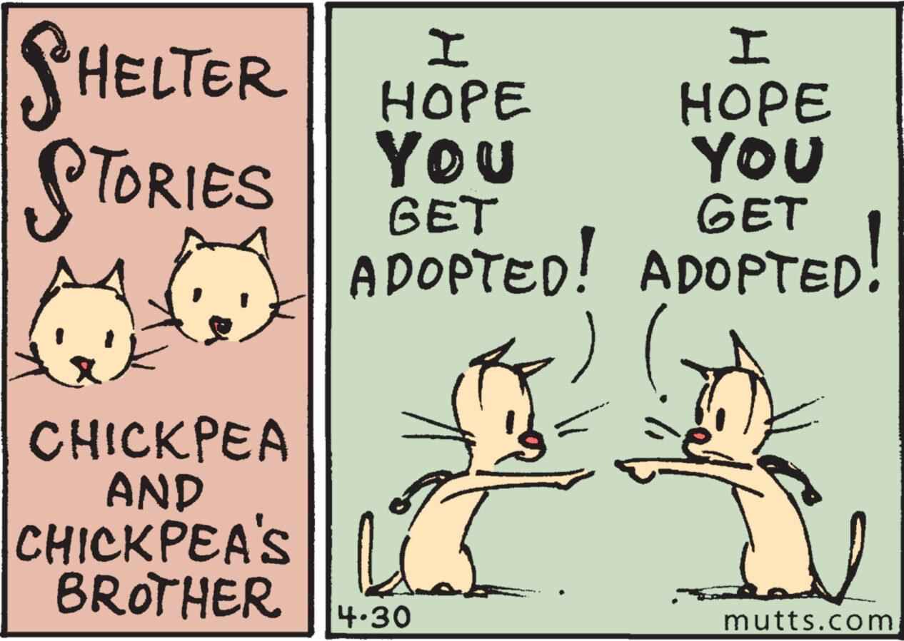 Mutts Comic Strip 2024-04-30 | Comics Kingdom